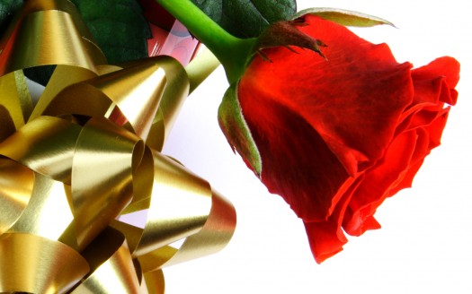 صور رومانسية للعشاق  Beautiful Red Love Rose Wallpaper حب وغرام