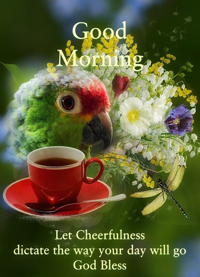 صور صباح الخير Let Cheerfulness Good Morning Quotes  صباح الحب يسعد صباحك