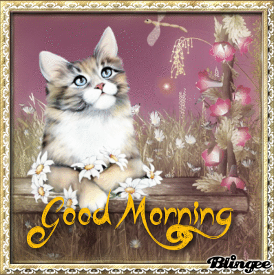 صور صباح الخير Kitten Good Morning Image Gif  صباح الحب يسعد صباحك